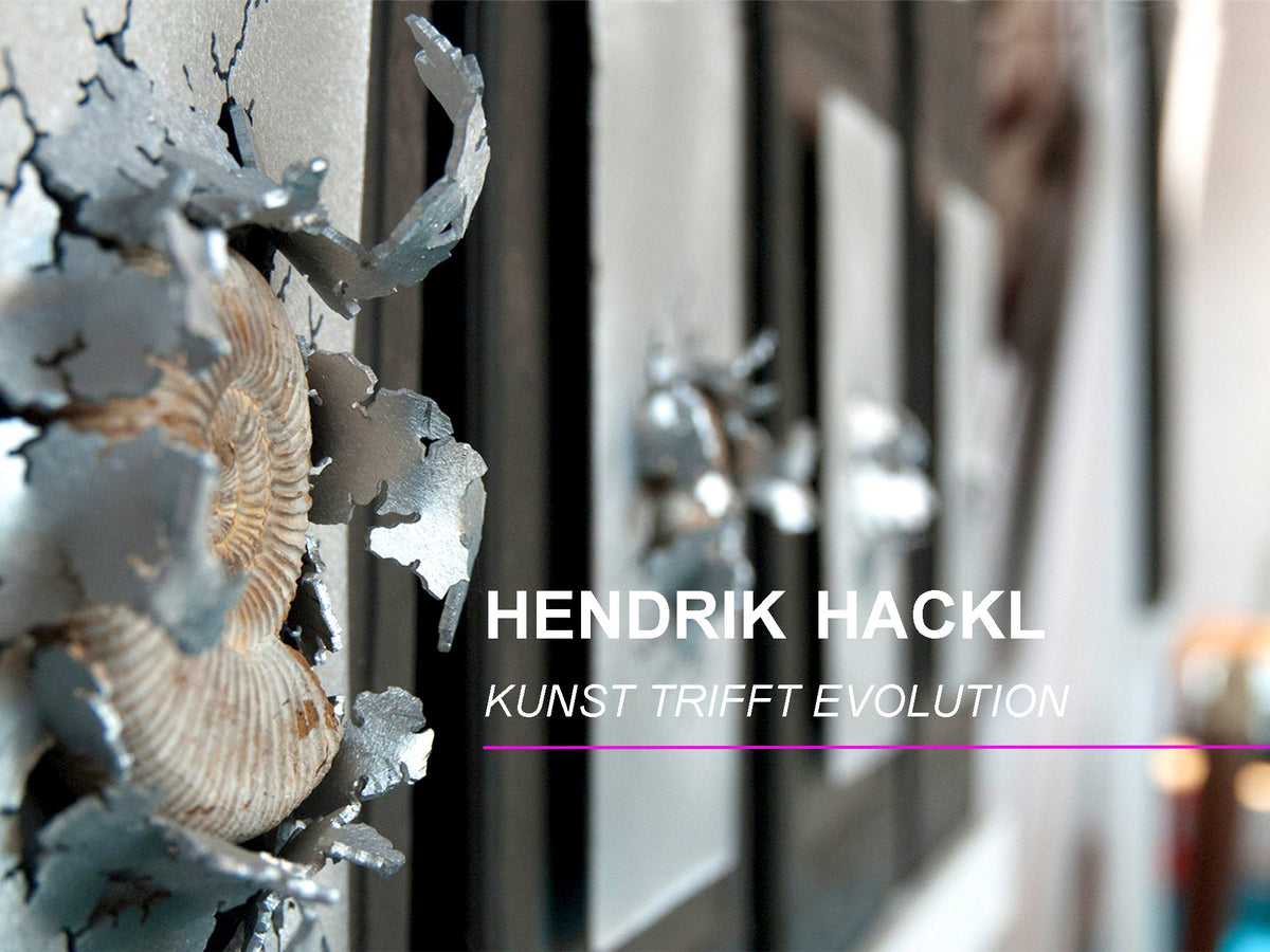 (c) Hendrikhackl.shop